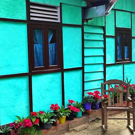 Live In Nature Darjeeling  Exterior photo