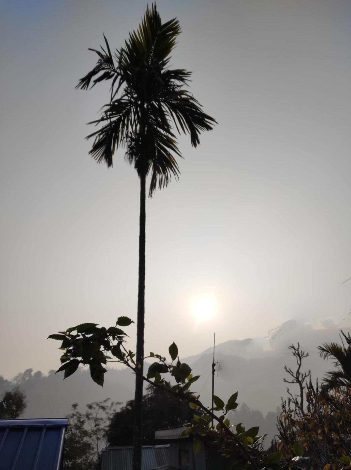 Live In Nature Darjeeling  Exterior photo