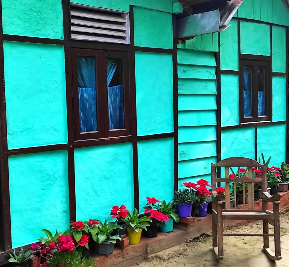 Live In Nature Darjeeling  Exterior photo