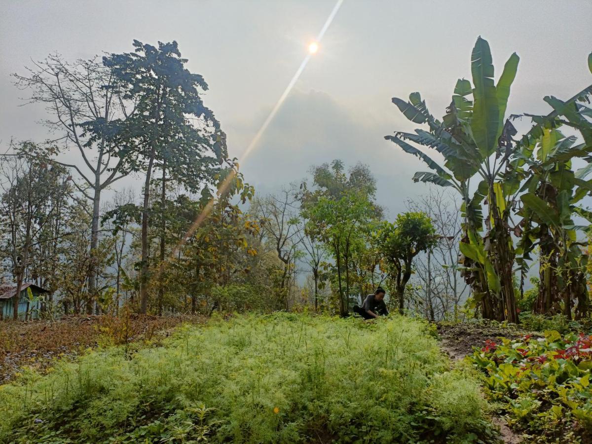 Live In Nature Darjeeling  Exterior photo