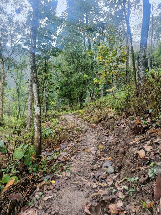 Live In Nature Darjeeling  Exterior photo